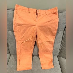 LOFT Capri Pants